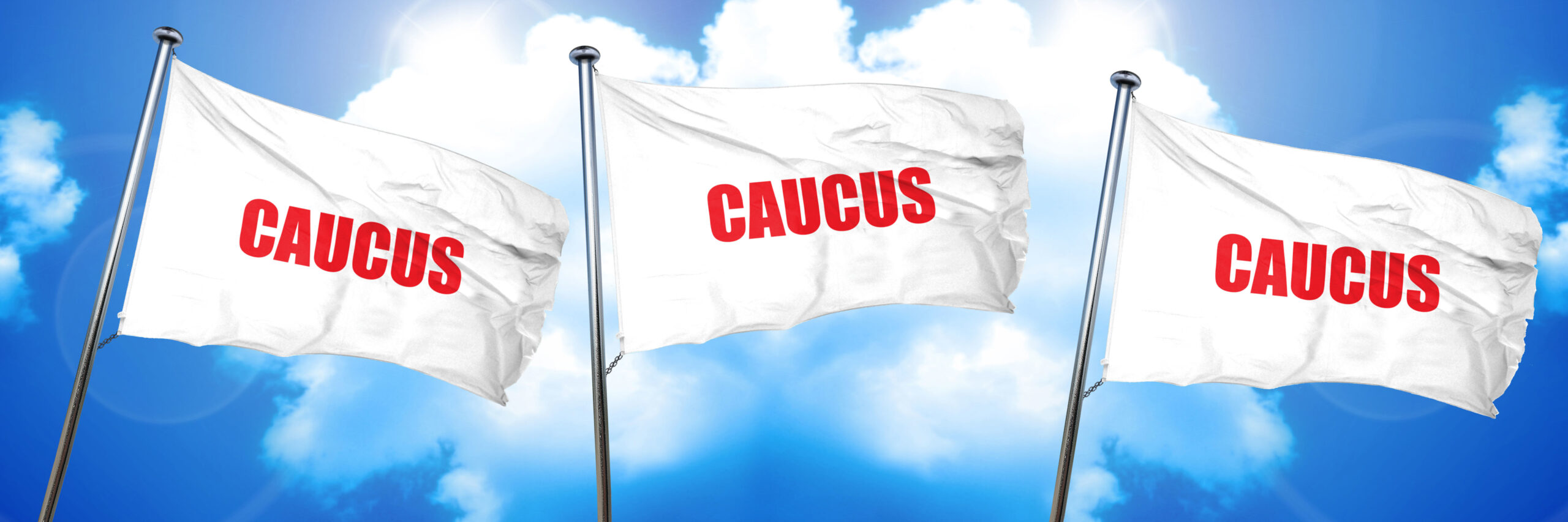 Caucus Sign Attend a Precinct Caucus and Submit a Resolution to Support Early ...