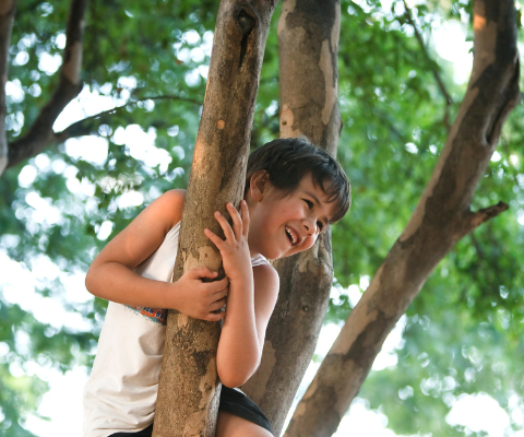 Child climbing in tree